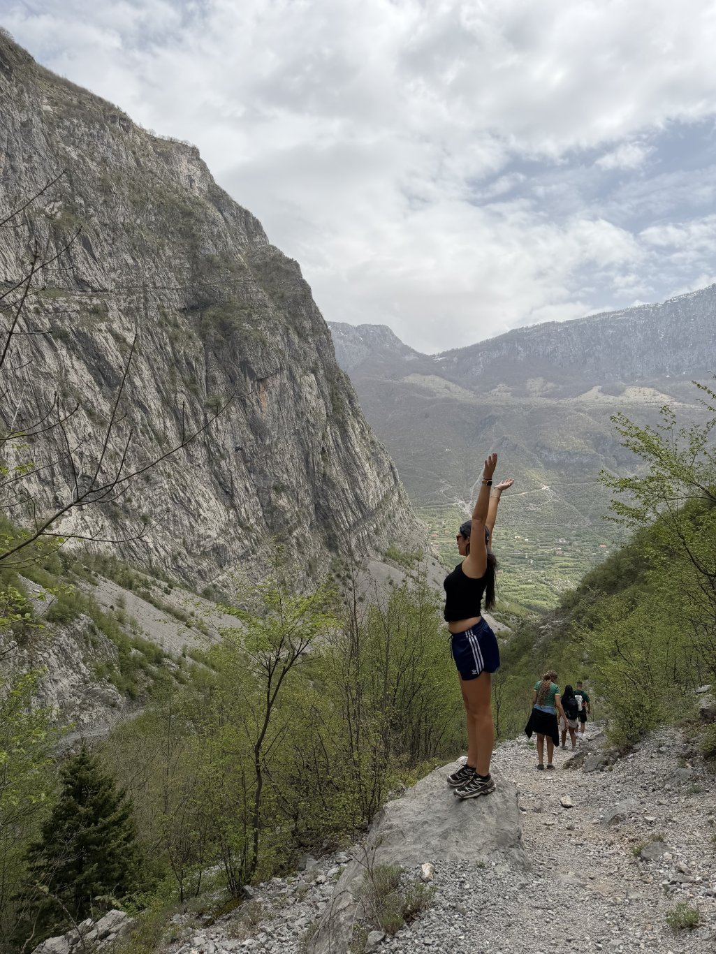 albania albania